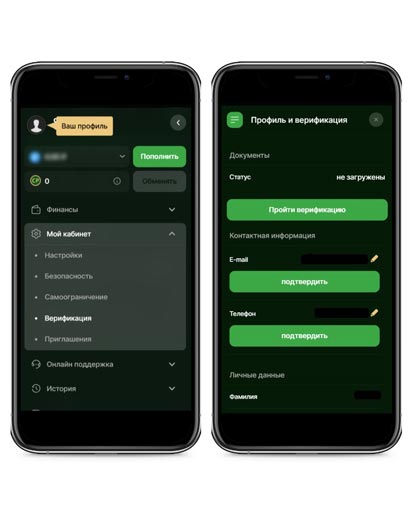 Идентификация игрока